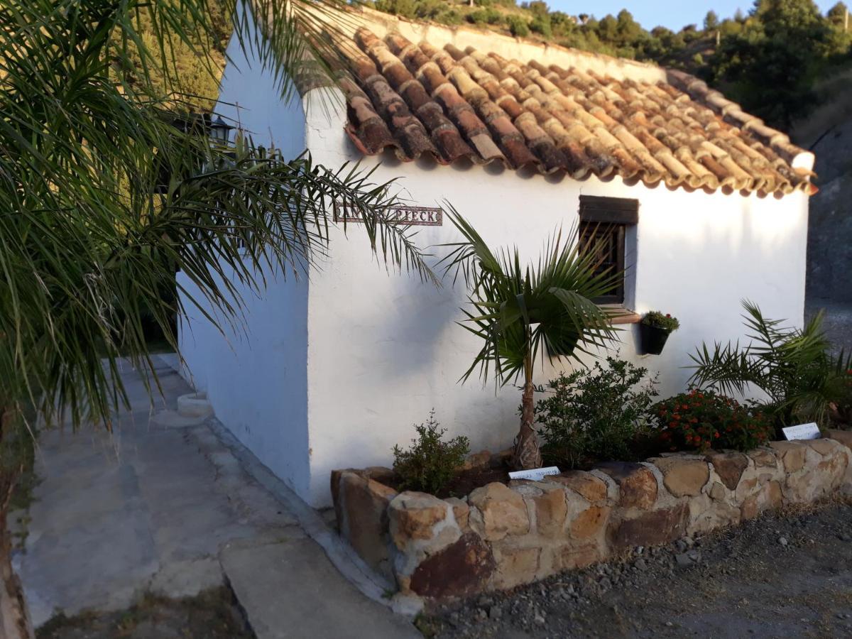 Tiny House 12M2 In Holiday Park With 55 M2 Pool Tolox Extérieur photo